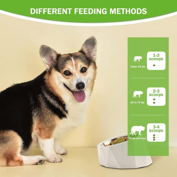 FreshBite Pet Dental Powder — Fresher Breath at Every Meal, Just Sprinkle
