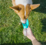 Go-Sip Portable Dog Water Bottle — Fresh Water On Every Walk