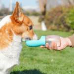 Go-Sip Portable Dog Water Bottle — Fresh Water On Every Walk